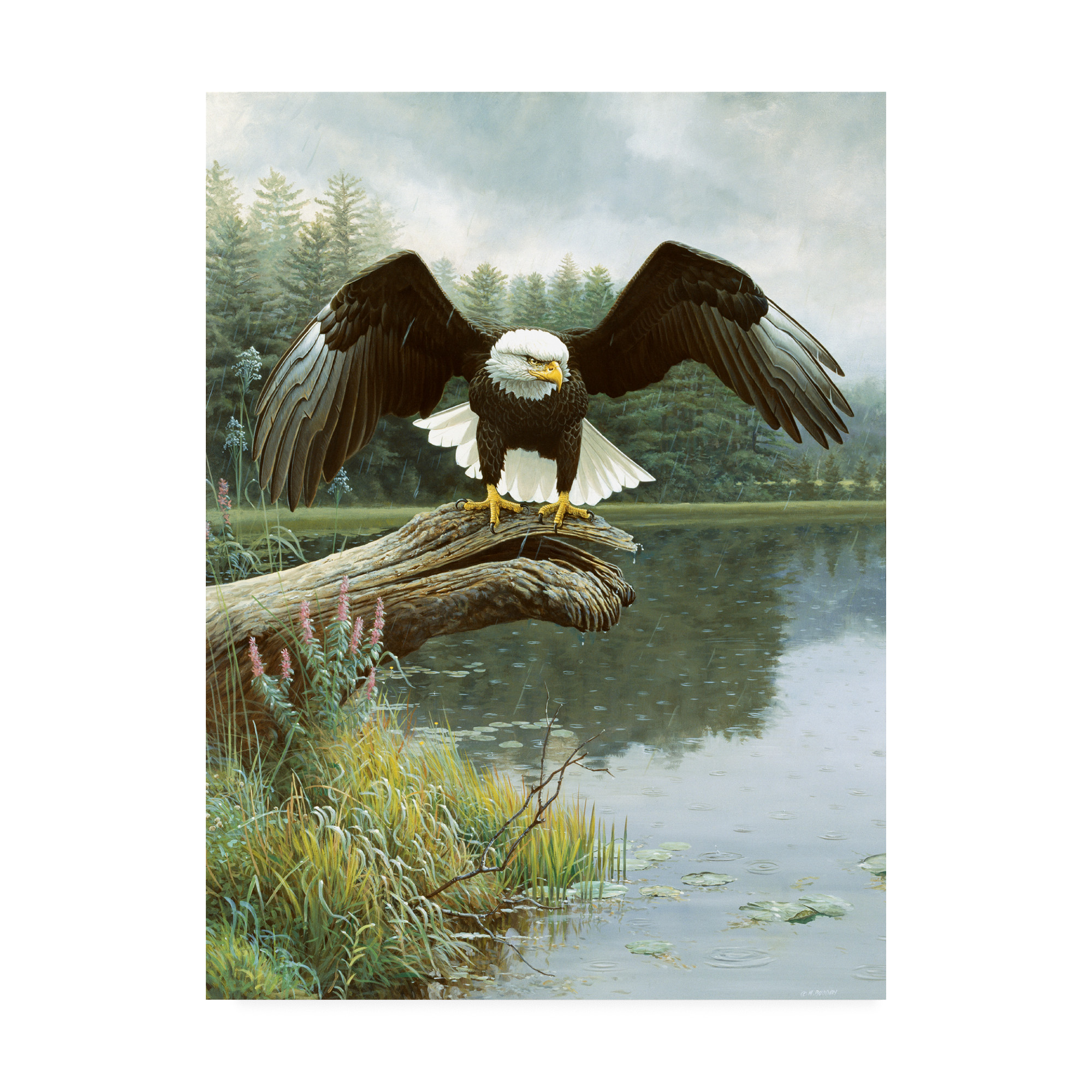 Trademark Fine Art 'Majestic Showers' Canvas Art by Michael Budden