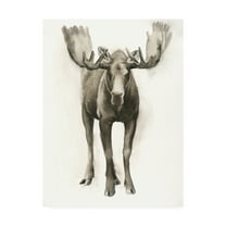 Trademark Fine Art 'Majestic Wildlife I' Canvas Art by Grace Popp