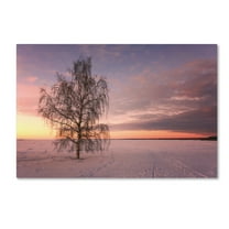 Trademark Fine Art 'Majesty of Nature' Canvas Art by Philippe Sainte-Laudy