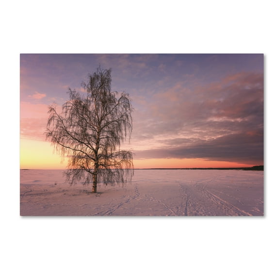 Trademark Fine Art 'Majesty of Nature' Canvas Art by Philippe Sainte-Laudy