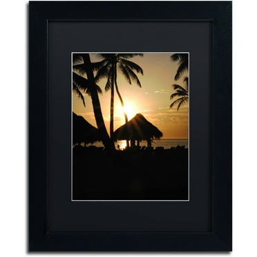 Trademark Fine Art "Majical" Canvas Art by Monica Mize, Black Matte, Black Frame