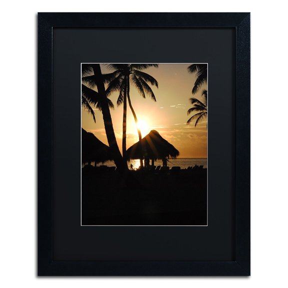 Trademark Fine Art "Majical" Canvas Art by Monica Mize, Black Matte, Black Frame