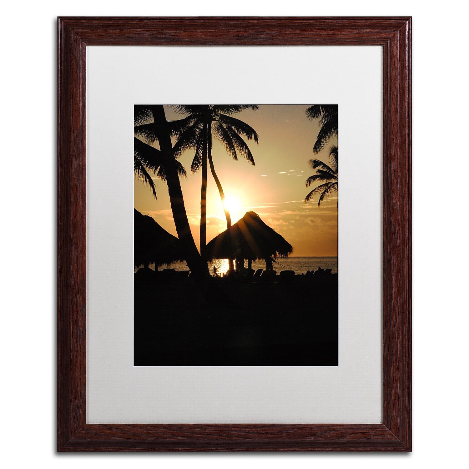 Trademark Fine Art "Majical" Canvas Art by Monica Mize, White Matte, Wood Frame