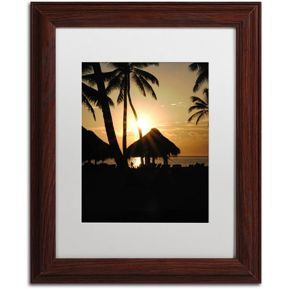 Trademark Fine Art "Majical" Canvas Art by Monica Mize, White Matte, Wood Frame