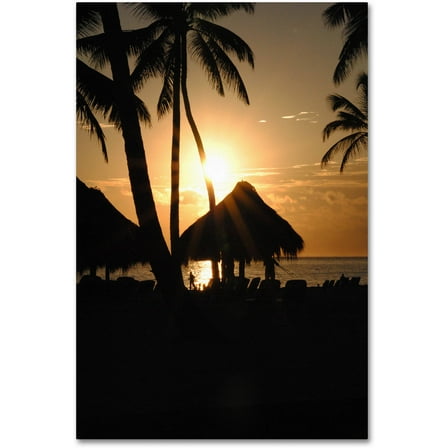 Trademark Fine Art "Majical" Canvas Art by Monica Mize