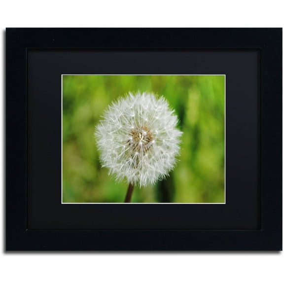 Trademark Fine Art "Make a Wish" Canvas Art by Monica Mize, Black Matte, Black Frame