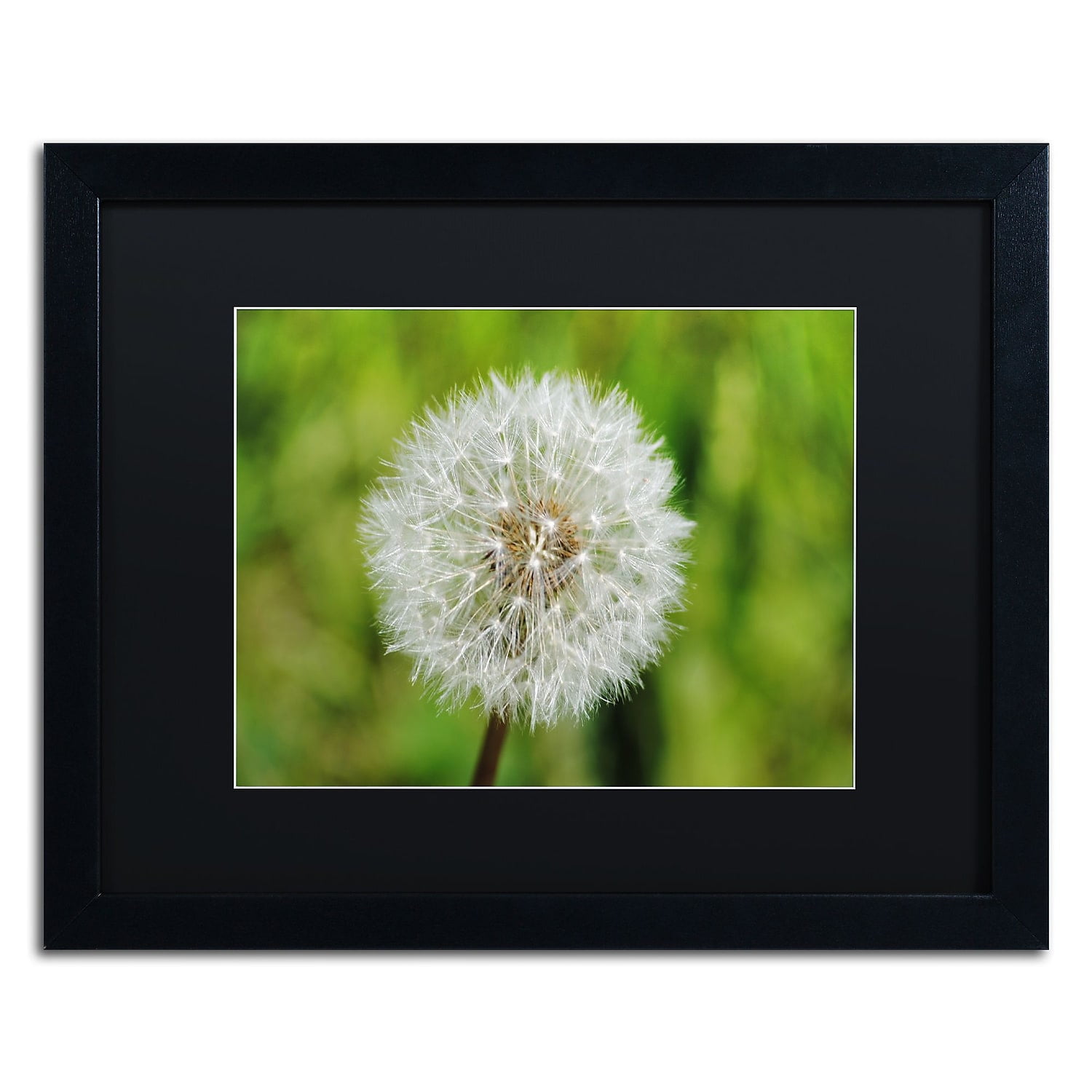 Trademark Fine Art "Make a Wish" Canvas Art by Monica Mize, Black Matte, Black Frame