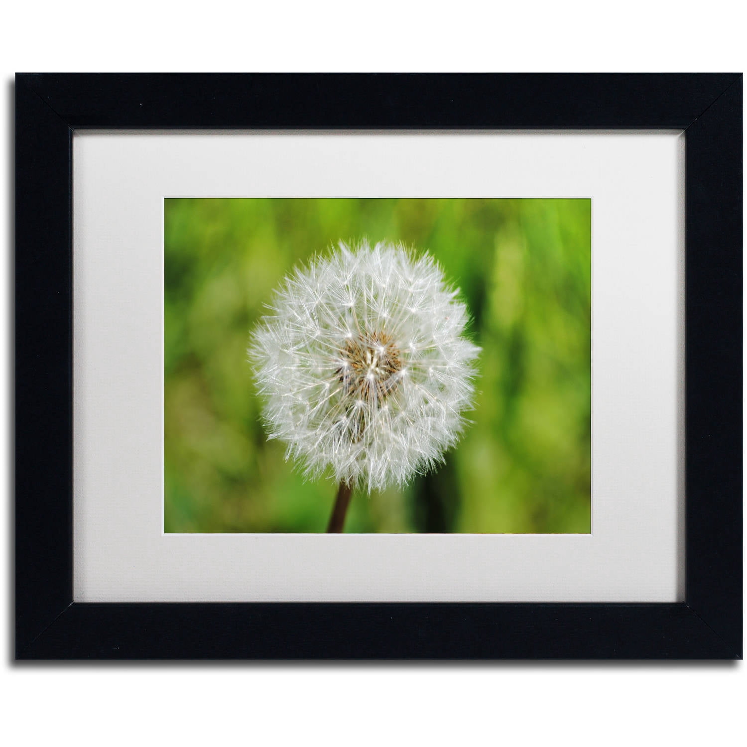 Trademark Fine Art "Make a Wish" Canvas Art by Monica Mize, White Matte, Black Frame