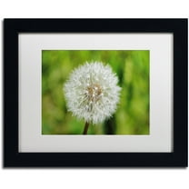 Trademark Fine Art "Make a Wish" Canvas Art by Monica Mize, White Matte, Black Frame