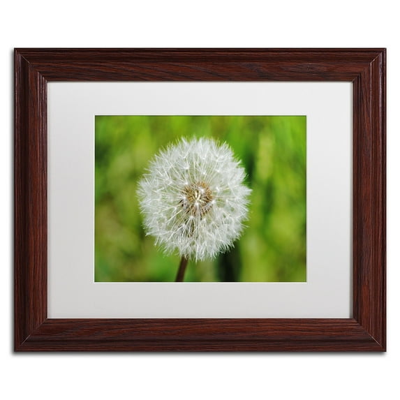 Trademark Fine Art "Make a Wish" Canvas Art by Monica Mize, White Matte, Wood Frame