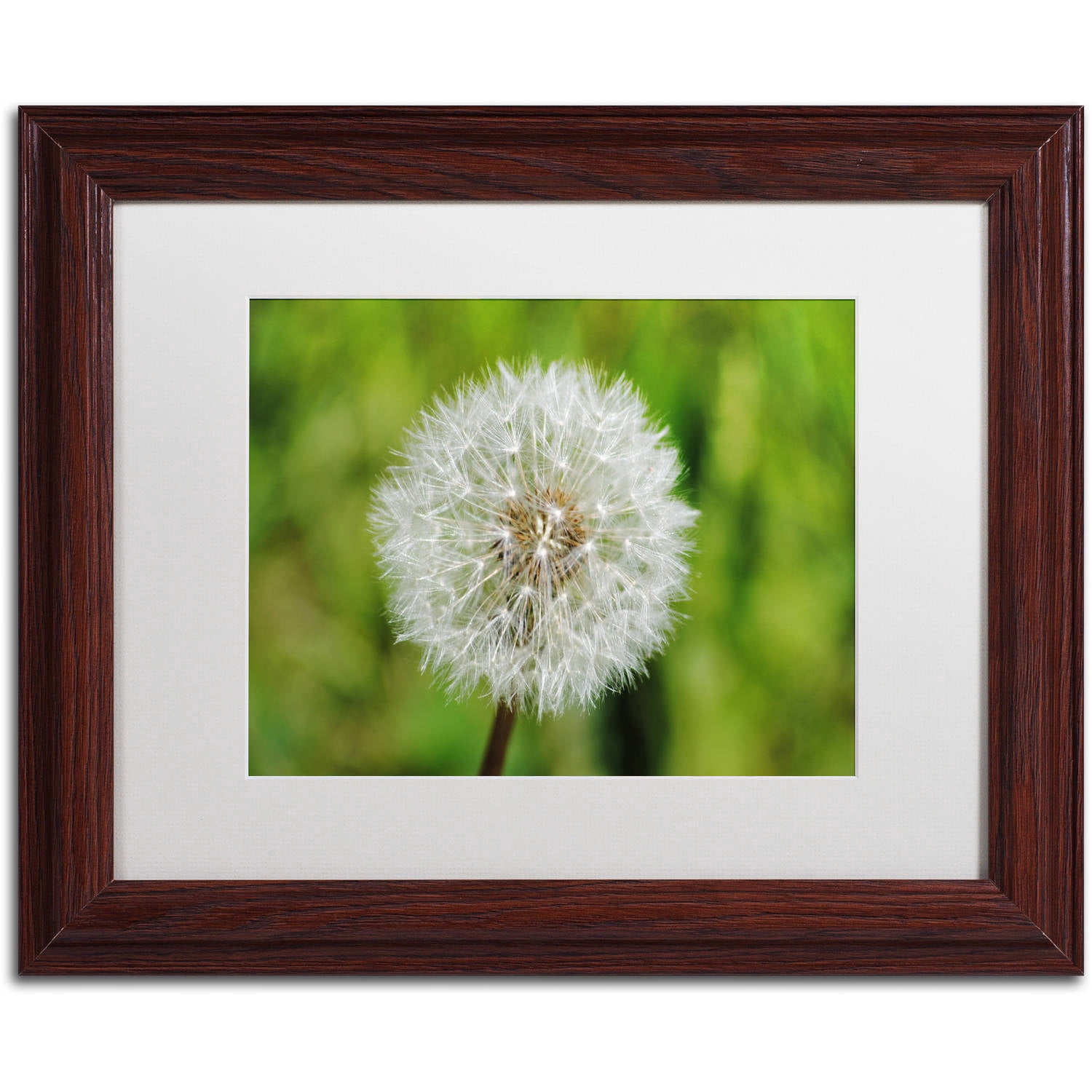 Trademark Fine Art "Make a Wish" Canvas Art by Monica Mize, White Matte, Wood Frame
