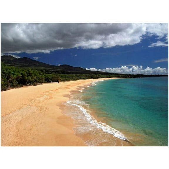 Trademark Fine Art "Makena Maui" Canvas Art by Pierre Leclerc