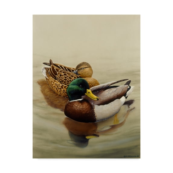 Trademark Fine Art 'Mallard Brown Lake' Canvas Art by Harro Maass