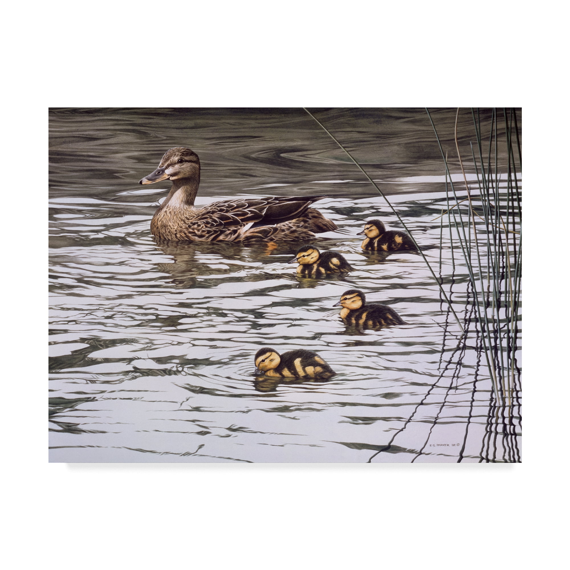 Mallard Family Natural Modern Wood Frame Canvas Art, 24" x 32"