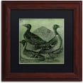 thumbnail image 1 of Trademark Fine Art "Mallards" Canvas Art by Color Bakery Black Matte, Wood Frame, 1 of 2