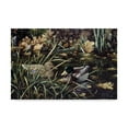 thumbnail image 1 of Trademark Fine Art 'Mallards' Canvas Art by Jeff Tift, 1 of 3