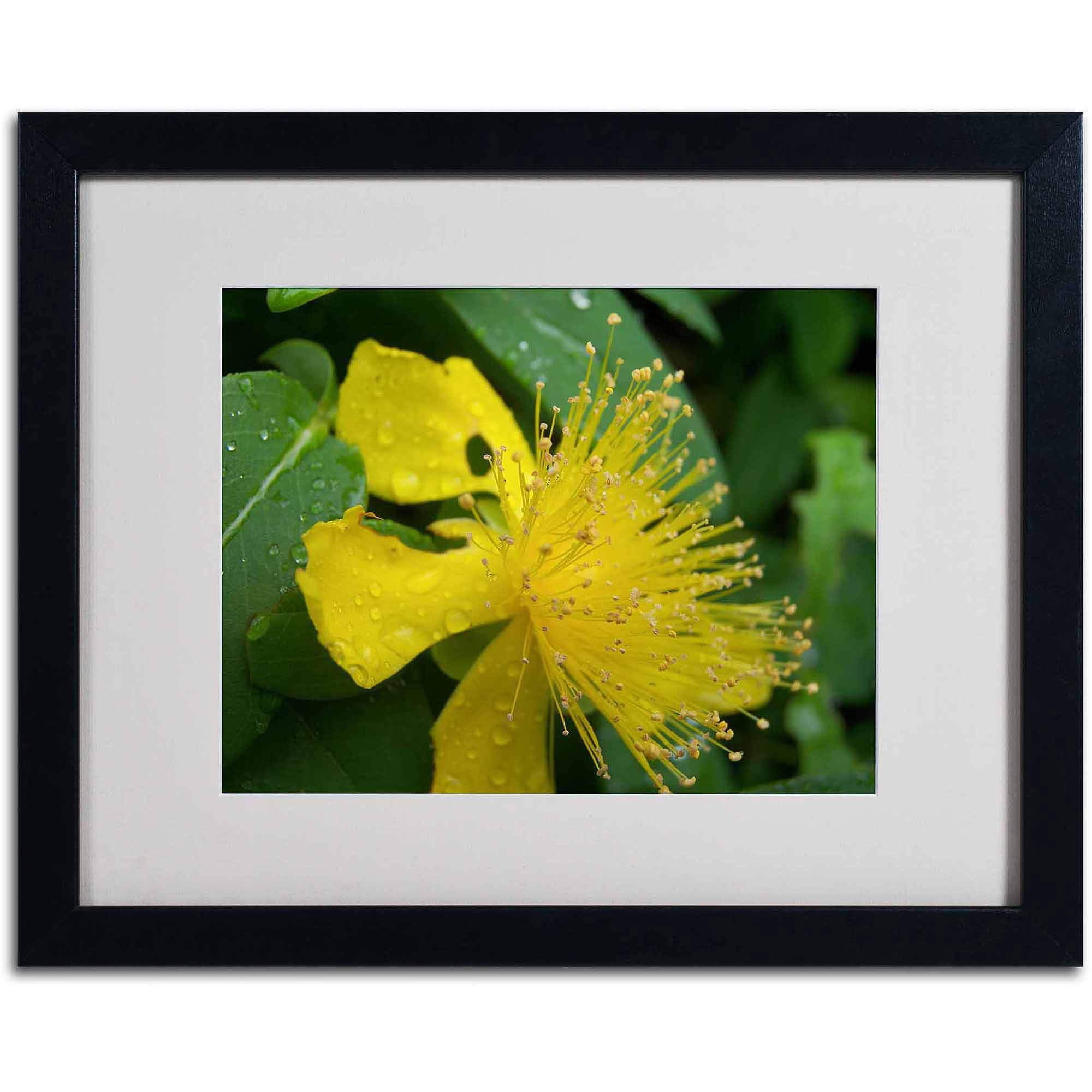 Trademark Fine Art "Mana" Canvas Art by Monica Fleet, White Matte, Black Frame