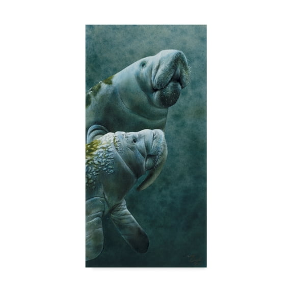 Trademark Fine Art 'Manatees' Canvas Art by Beverly Doyle