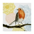 thumbnail image 1 of Trademark Fine Art 'Mandala Bird IV' Canvas Art by Grace Popp, 1 of 4