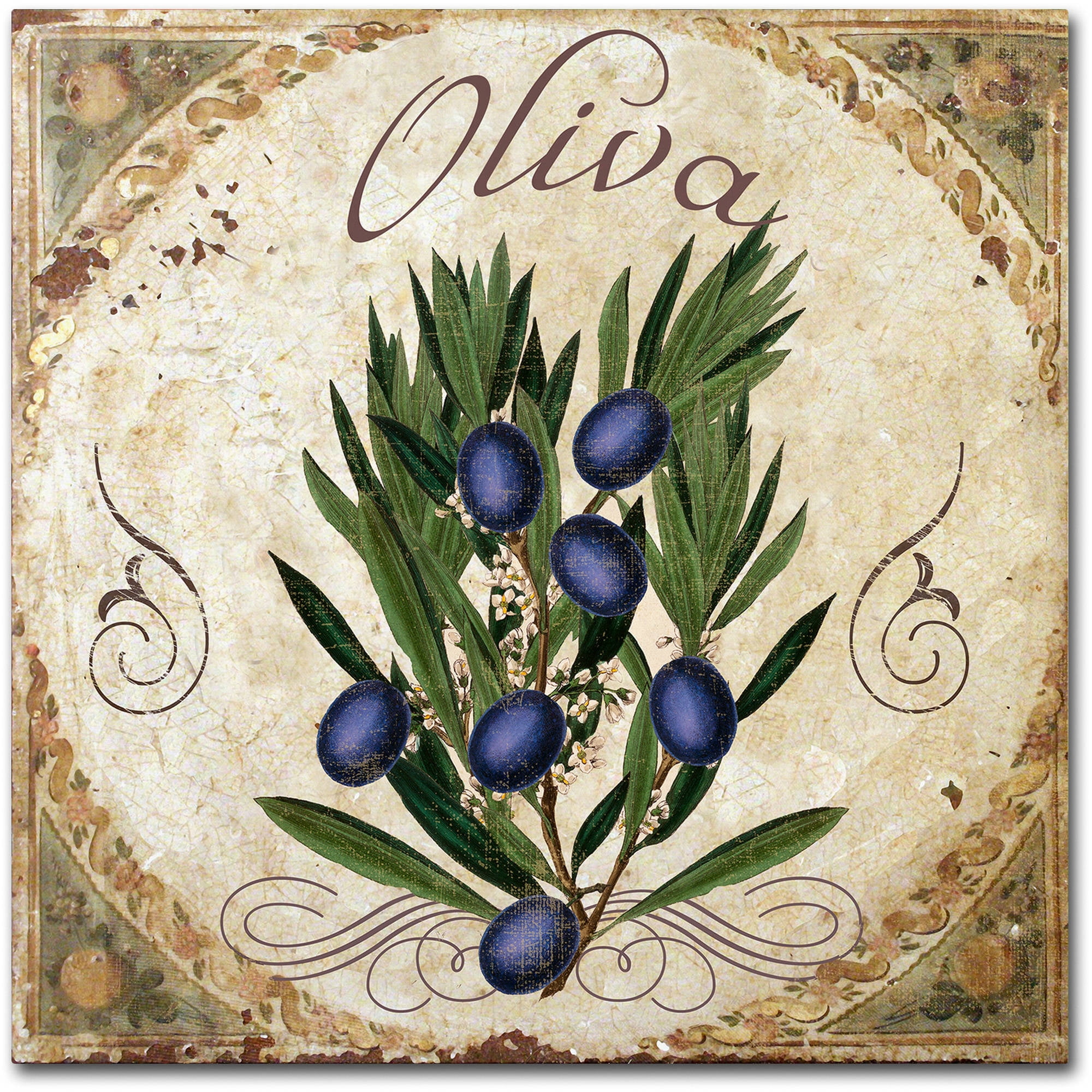 Trademark Fine Art "Mangia V" Canvas Art by Color Bakery