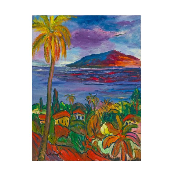 Trademark Fine Art Manor Shadian Pacific Peaceful Shores Canvas Wall Art - 24x32