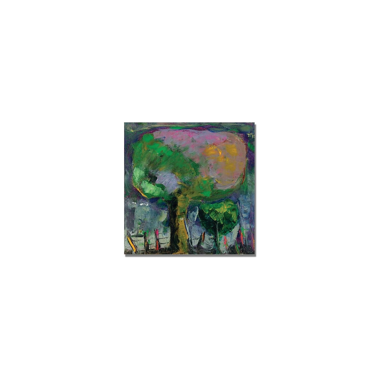 Trademark Fine Art "Manzano de Noche" Canvas Art by Boyer