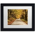 thumbnail image 1 of Trademark Fine Art 'Maple Canopy' Canvas Art by Michael Blanchette Photography, White Matte, Black Frame, 1 of 4