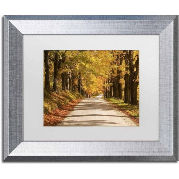 Trademark Fine Art 'Maple Canopy' Canvas Art by Michael Blanchette Photography, White Matte, Silver Frame