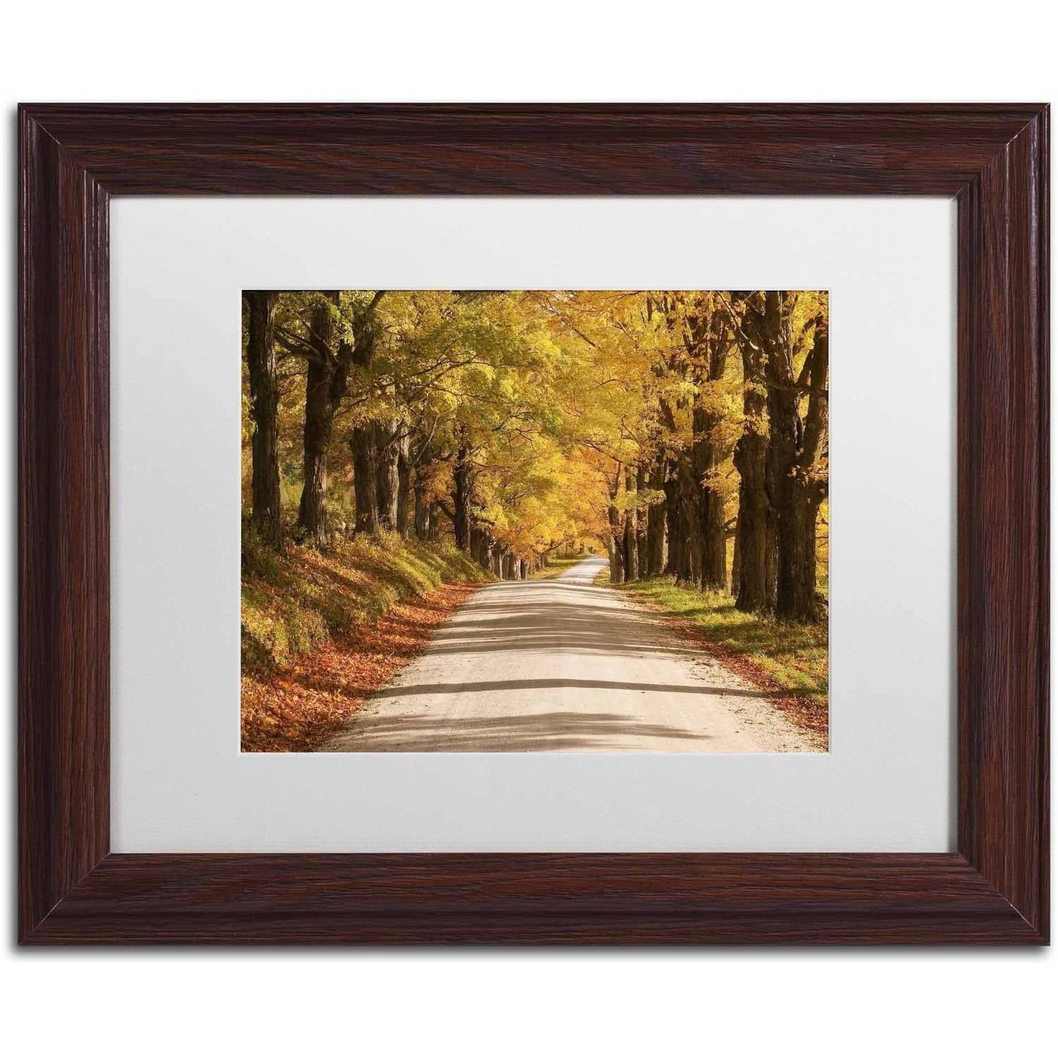 Trademark Fine Art 'Maple Canopy' Canvas Art by Michael Blanchette Photography, White Matte, Wood Frame