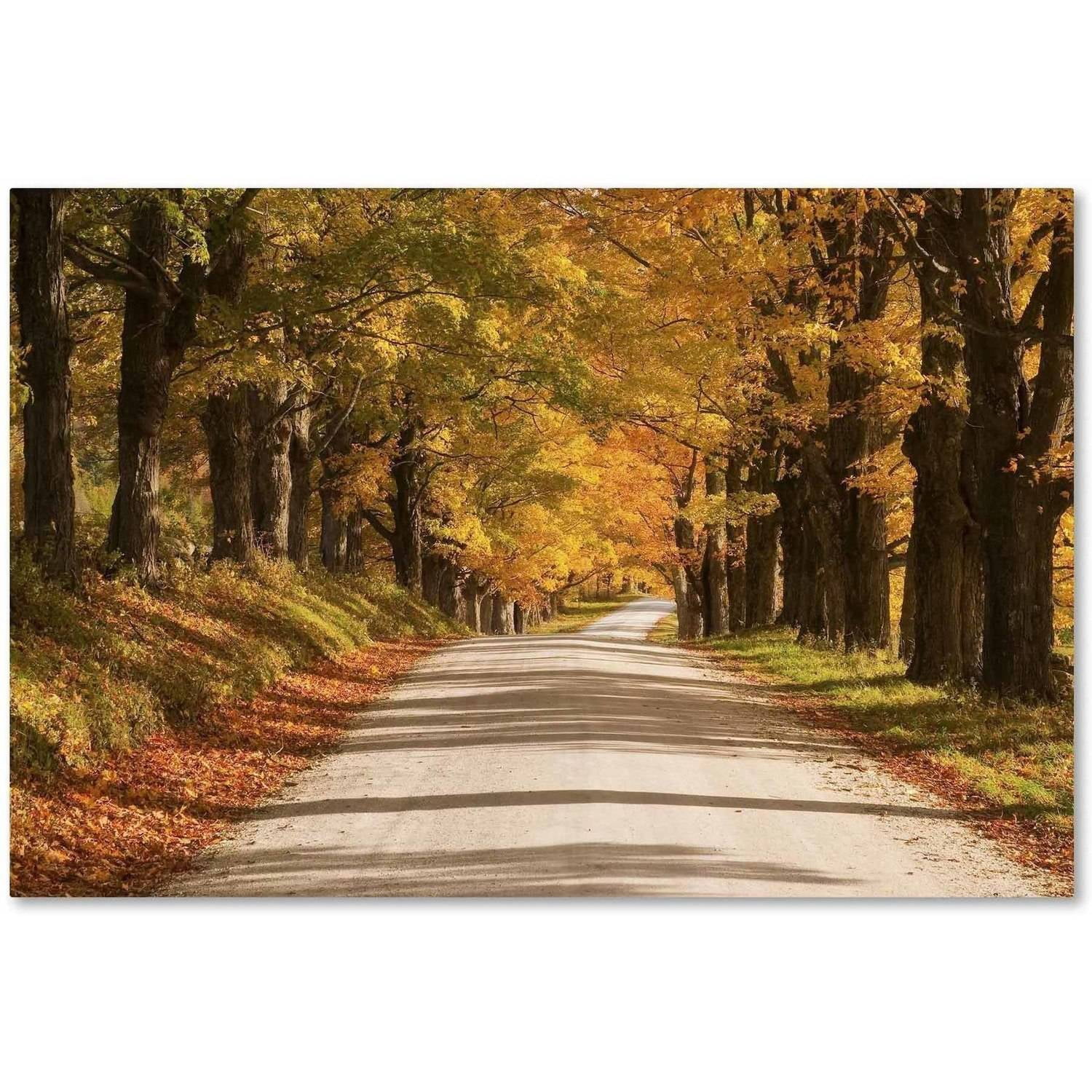 Trademark Fine Art 'Maple Canopy' Canvas Art by Michael Blanchette Photography