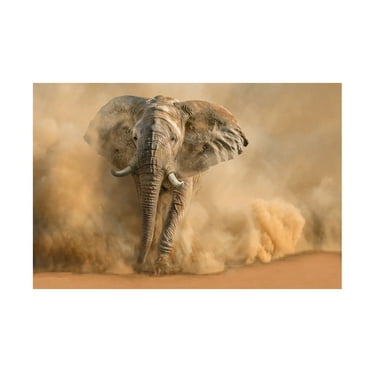 Trademark Fine Art Marcel Egger  Desertstorm Canvas Wall Art