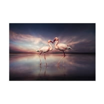 Trademark Fine Art Marcel Egger  FlamingoLove Canvas Wall Art