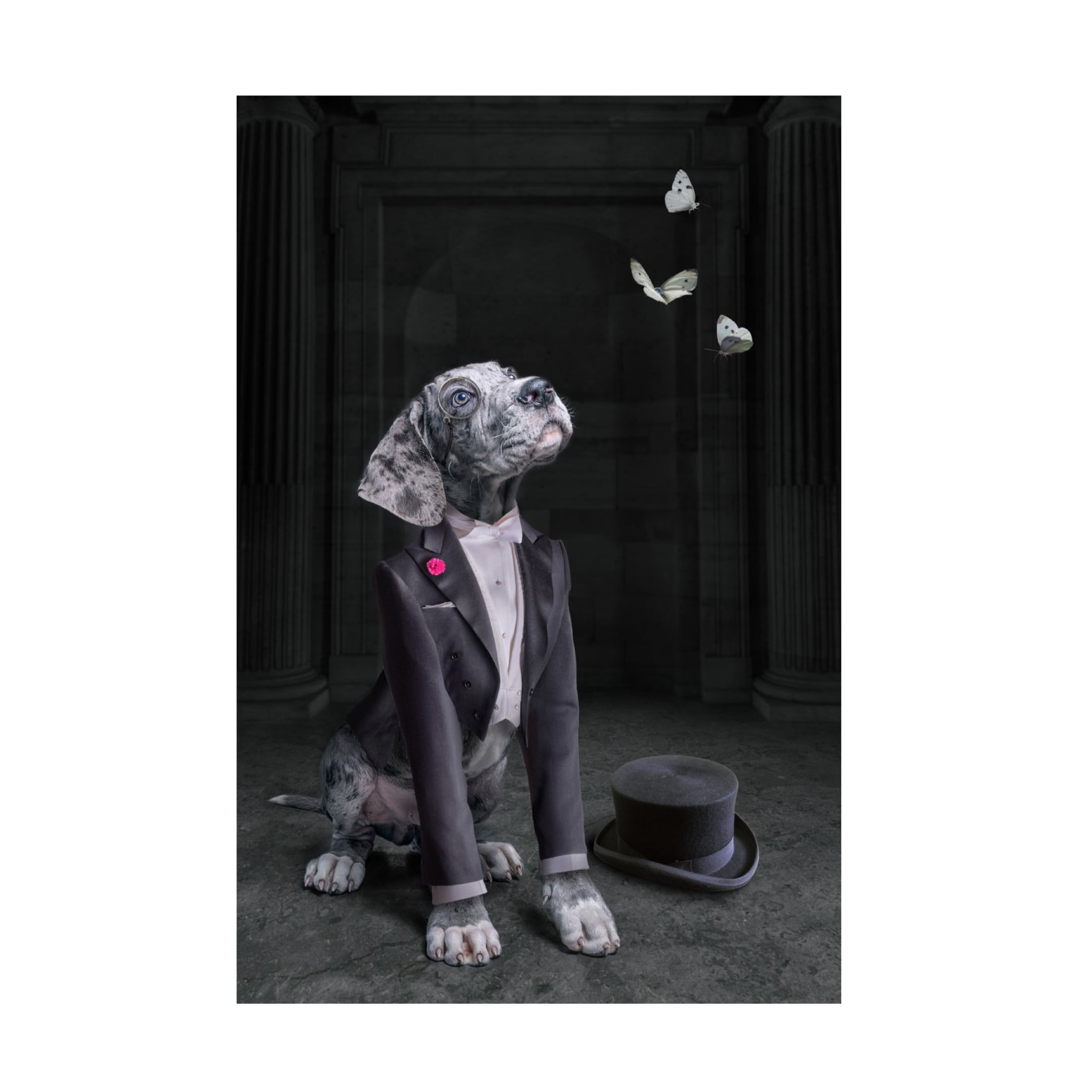 Trademark Fine Art Marcel Egger  LordDog Canvas Wall Art
