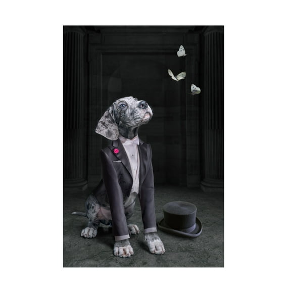 Trademark Fine Art Marcel Egger  LordDog Canvas Wall Art