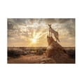 thumbnail image 1 of Trademark Fine Art Marcel Egger  SundownCheetah Canvas Wall Art, 1 of 4