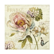 Trademark Fine Art Lisa Audit Marche de Fleurs III Canvas Wall Art - 14x14