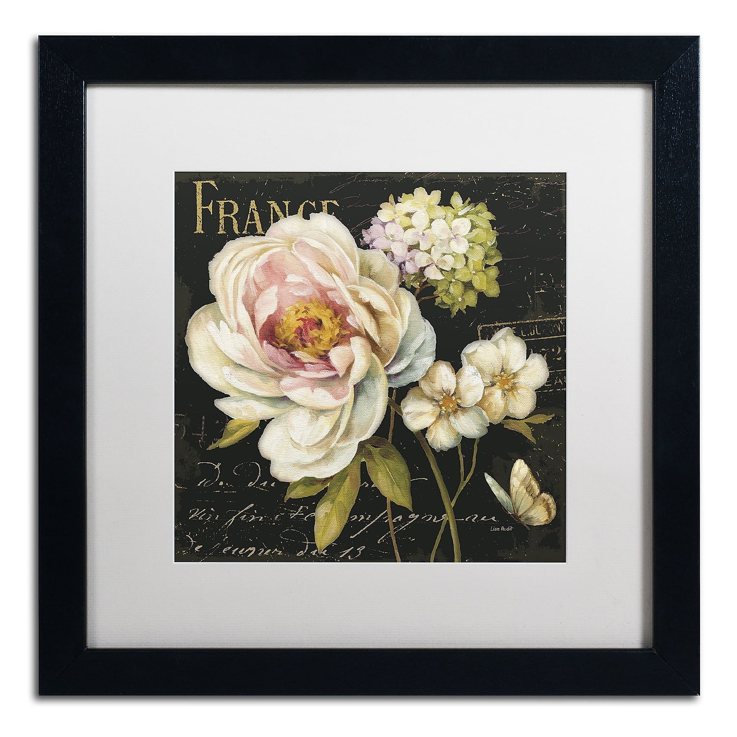 Trademark Fine Art "Marche de Fleurs on Black" Canvas Art by Lisa Audit, White Matte, Black Frame