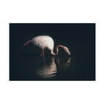 thumbnail image 1 of Trademark Fine Art Marco Tagliarino Enlighted Flamingo Canvas Wall Art, 1 of 4