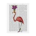 thumbnail image 1 of Trademark Fine Art 'Mardi Gras Flamingo, Full' Canvas Art by Fab Funky, 1 of 3