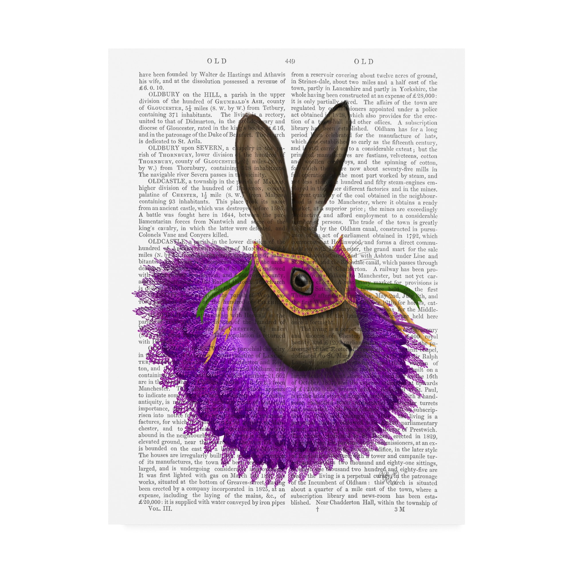 Trademark Fine Art 'Mardi Gras Hare' Canvas Art by Fab Funky
