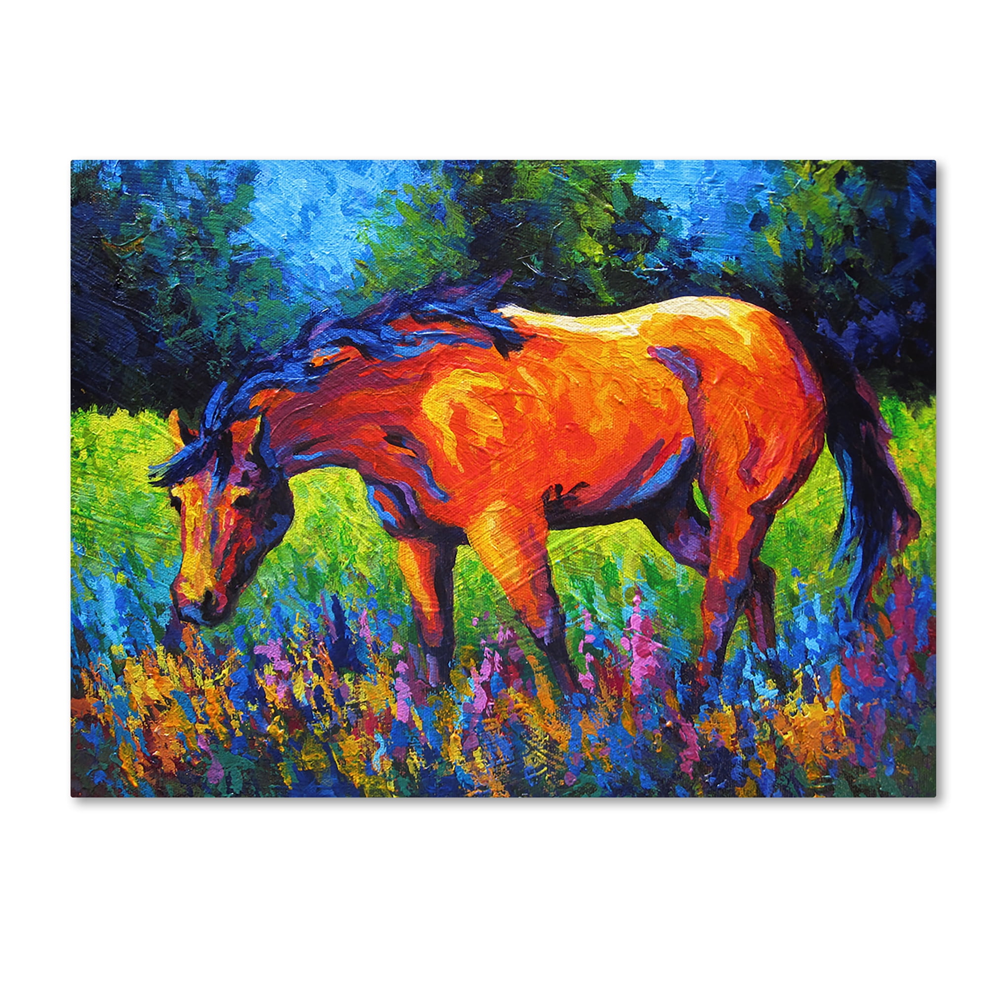 Marion Rose Mare II Multi-Color Canvas Art Print 14" x 19"