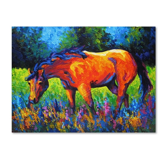 Trademark Fine Art 'MareII' Canvas Art by Marion Rose