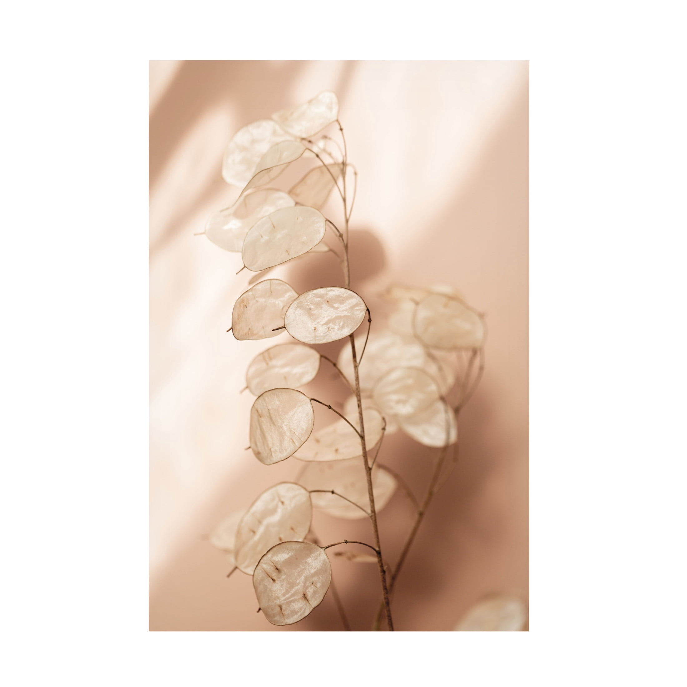 Trademark Fine Art Mareike Bohmer Last Summer 12 Canvas Wall Art