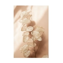 Trademark Fine Art Mareike Bohmer Last Summer 12 Canvas Wall Art