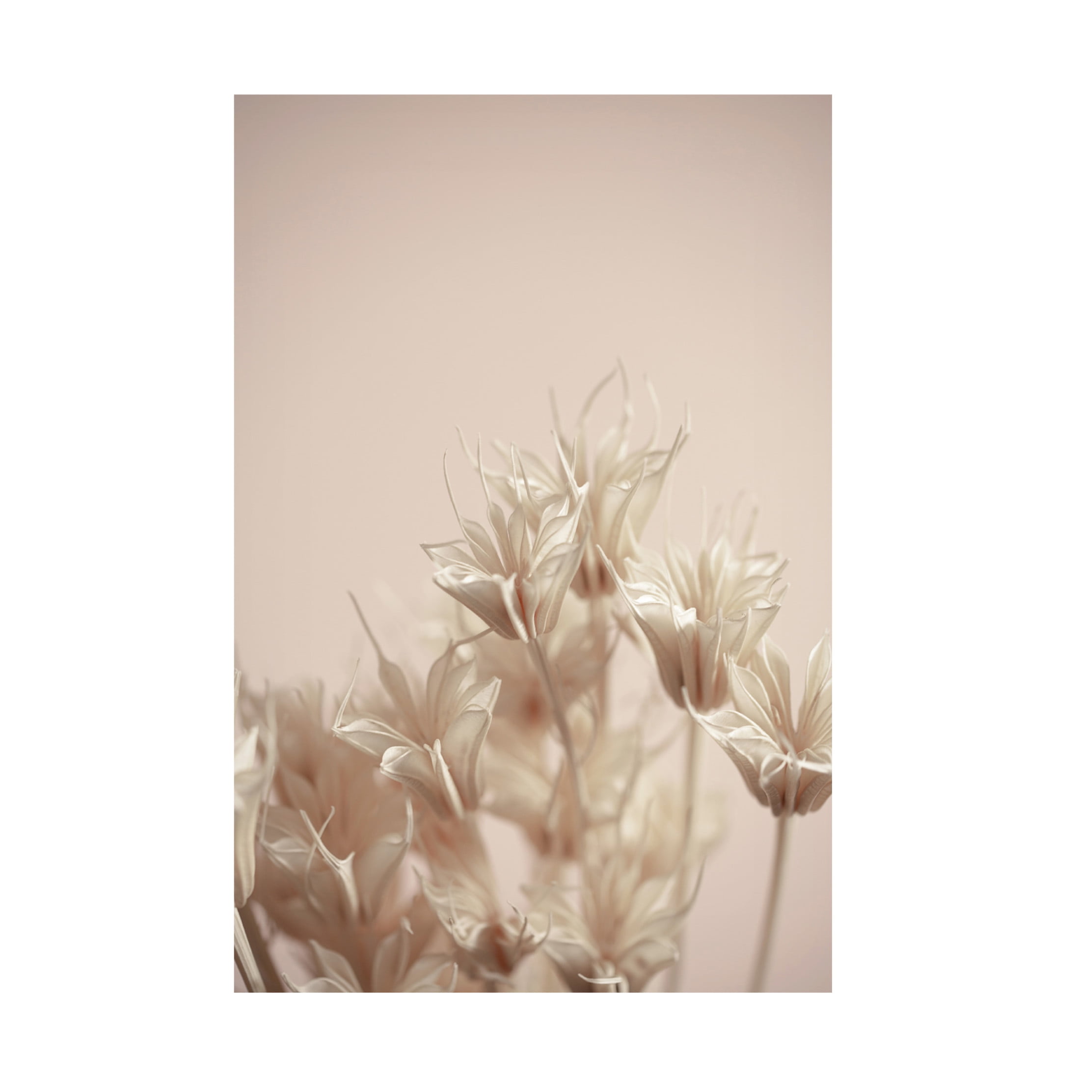 Trademark Fine Art Mareike Bohmer  Last Summer 17 Canvas Wall Art