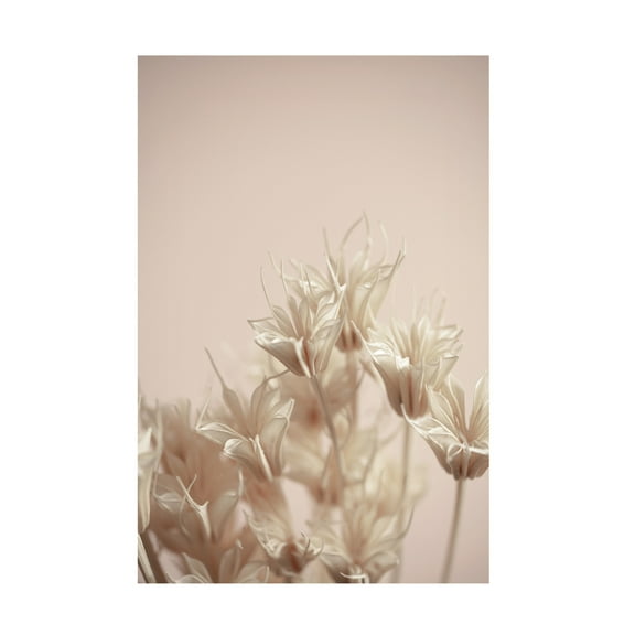 Trademark Fine Art Mareike Bohmer  Last Summer 17 Canvas Wall Art