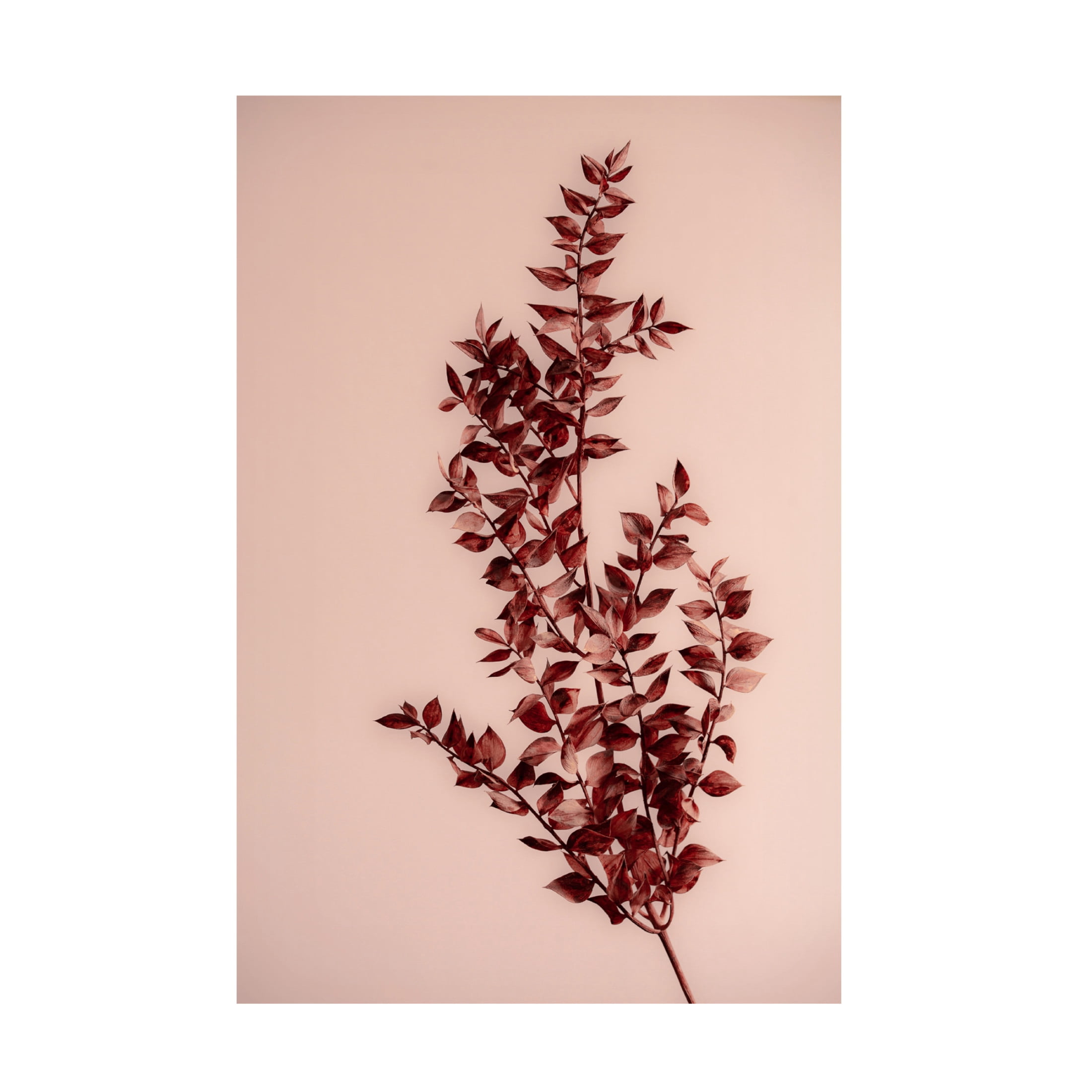 Trademark Fine Art Mareike Bohmer Last Summer 18 Canvas Wall Art
