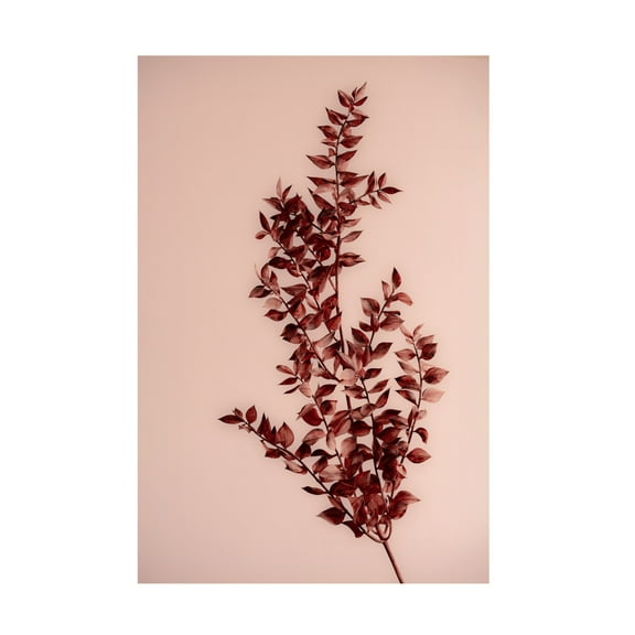 Trademark Fine Art Mareike Bohmer Last Summer 18 Canvas Wall Art