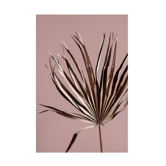 Trademark Fine Art Mareike Bohmer Last Summer 19X Canvas Wall Art