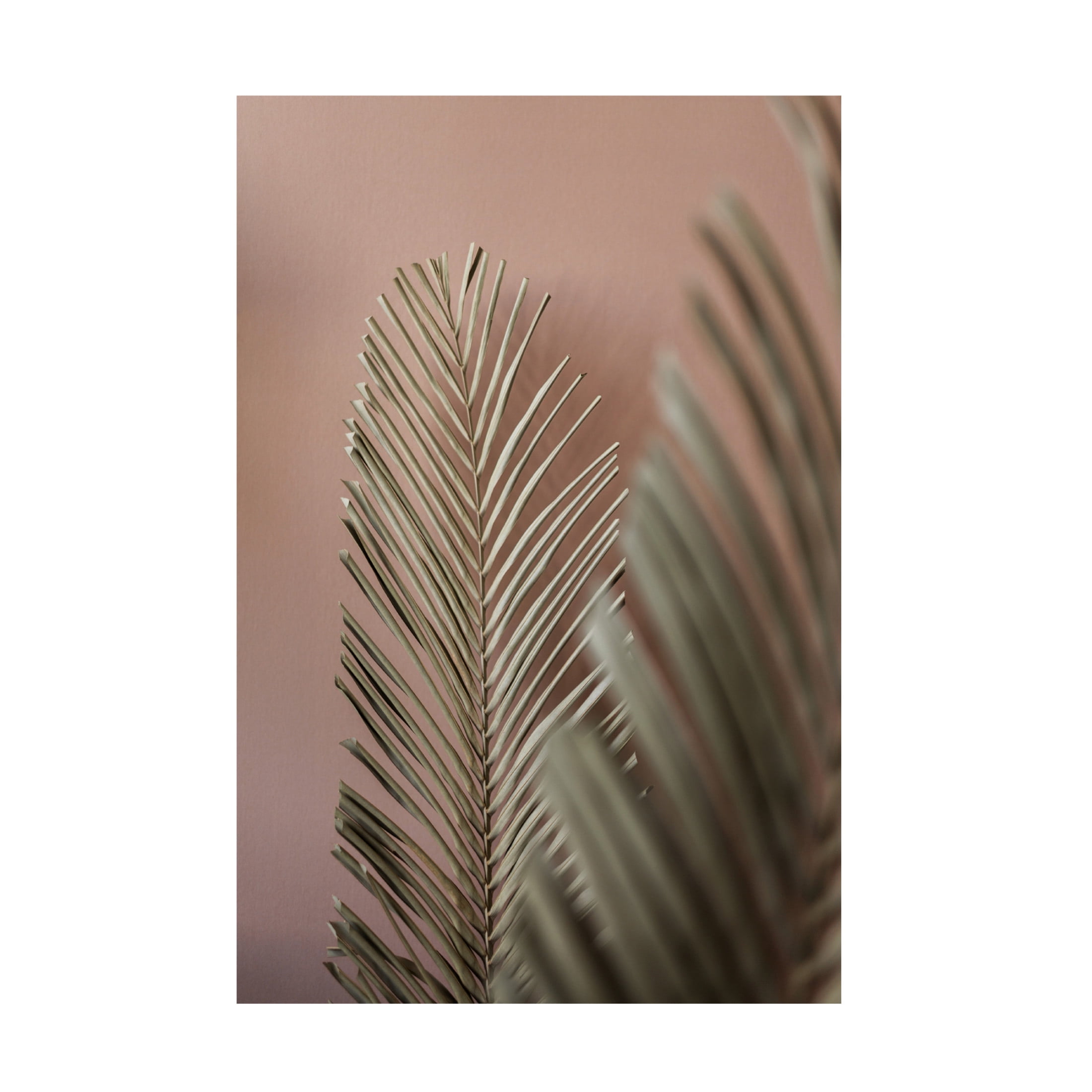 Trademark Fine Art Mareike Bohmer Last Summer 25 Canvas Wall Art